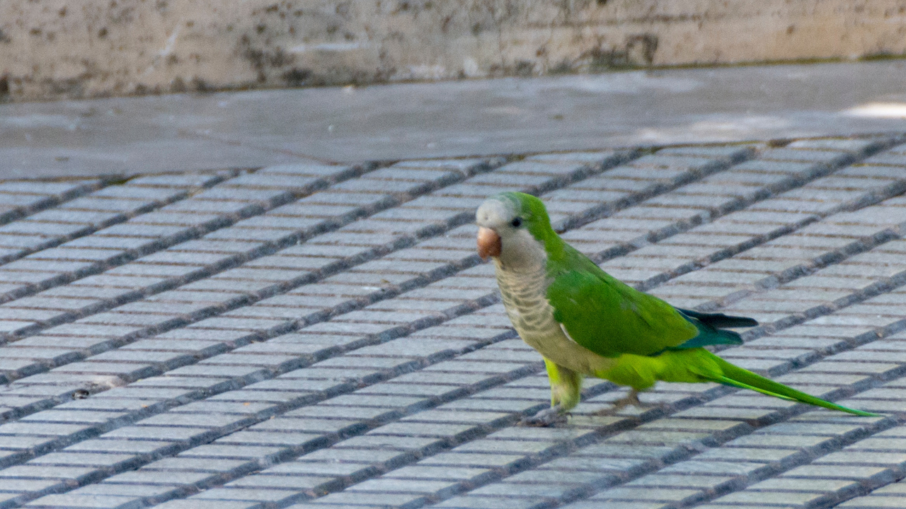 20171004 142745 , Cadiz, Andalusia, Spain